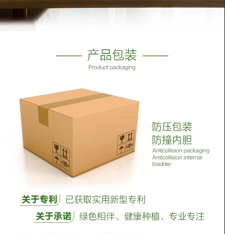 Qi快速無(wú)線充電器床頭柜花瓶無(wú)線器-08